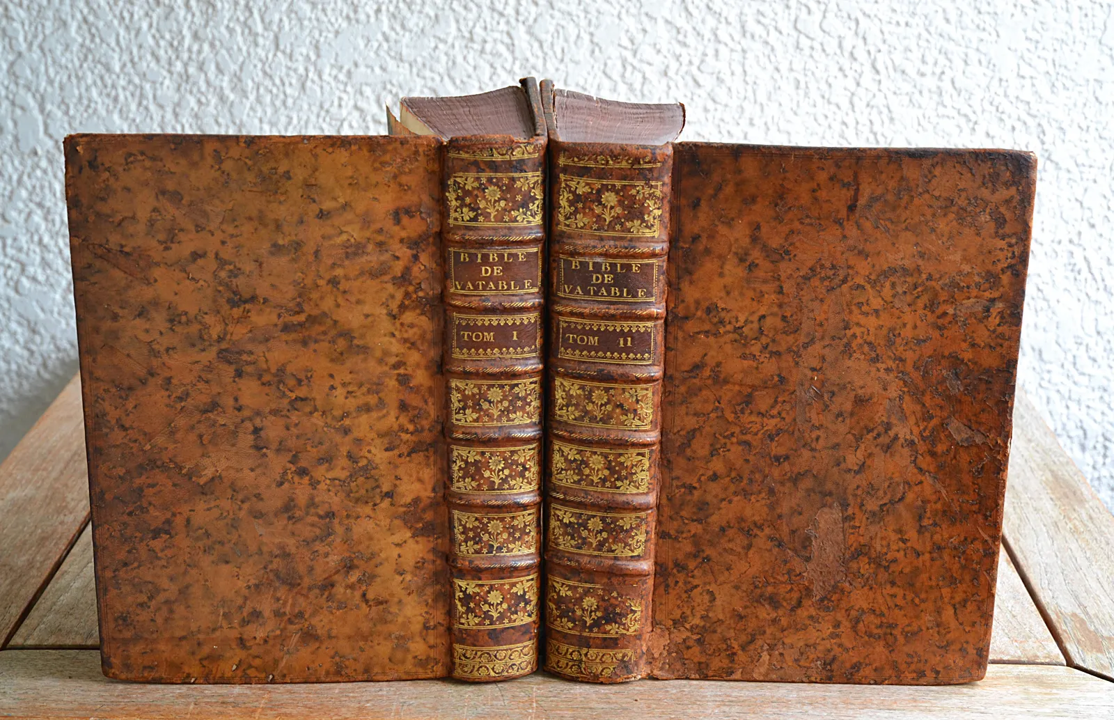 Biblia Sacra, cum universis Franc. Vatabli, regii hebraicae linguae quondam professoris, et variorum interpretum, annotationibus (1/12) — VATABLE (François), 1729 — Religion