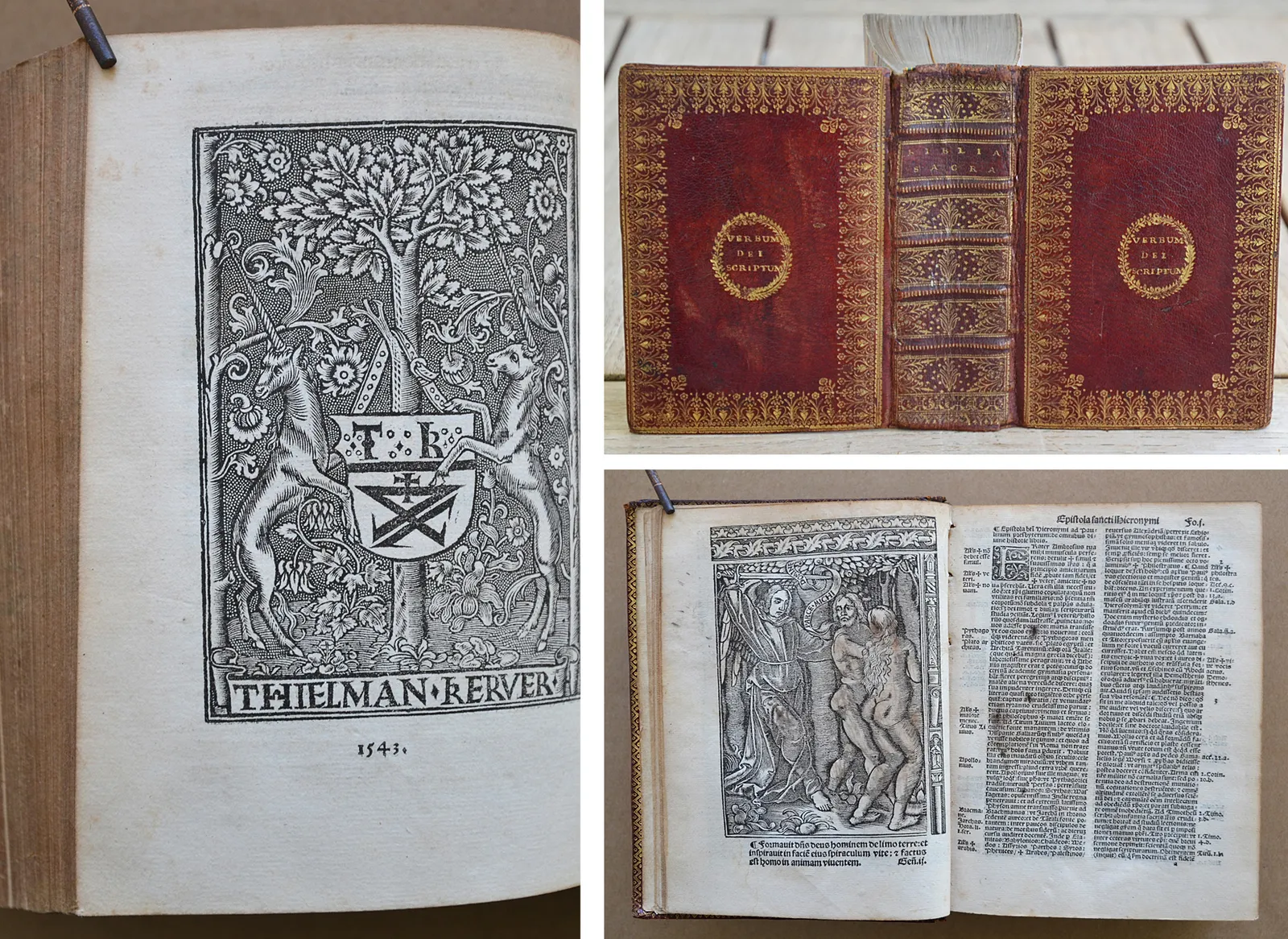 Biblia sacra, integrum utriusque Testamenti corpus complectens, diligenter recognita et emendata. Cul concordantiis simul et argumentis : cumque juris canonici allegationibus passim adnotatis. Insuper in calce ejusdem, annexe sunt nominum Hebraicorum, Chaldeorum, atque Grecorum interpretationes. Huic editioni adjectus est index rerum et sententiarum Veteris et Novi Testamenti. (1/12) — [BIBLE de KERVER], 1543 — XVe et XVIe siecles
