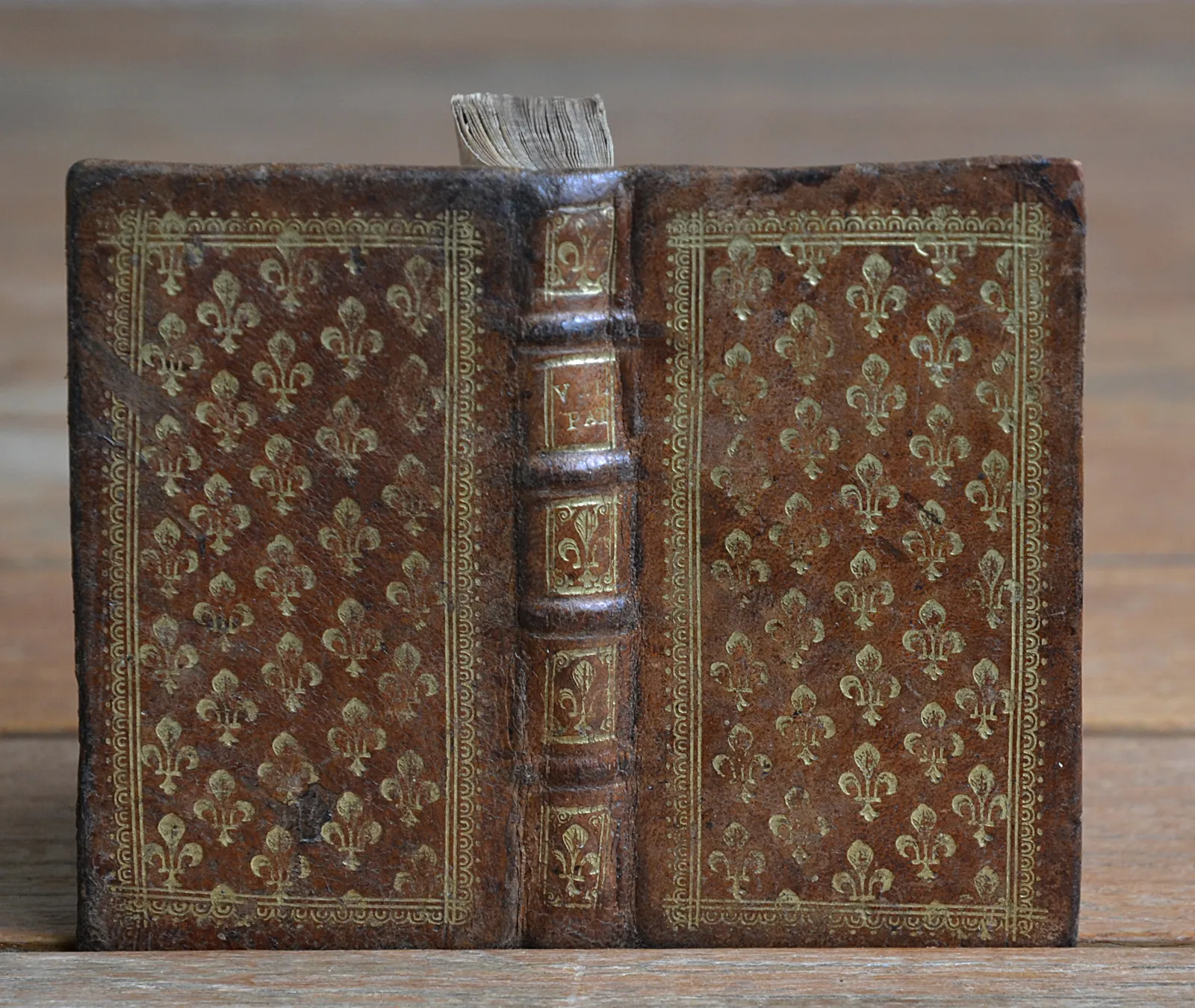 C. Velleii Paterculi historiae notis illustratae, quae ex lipsio, Vossio & aliis selectae sunt (1/9) — TAVERNIER (Nicolas), 1681 — Histoire