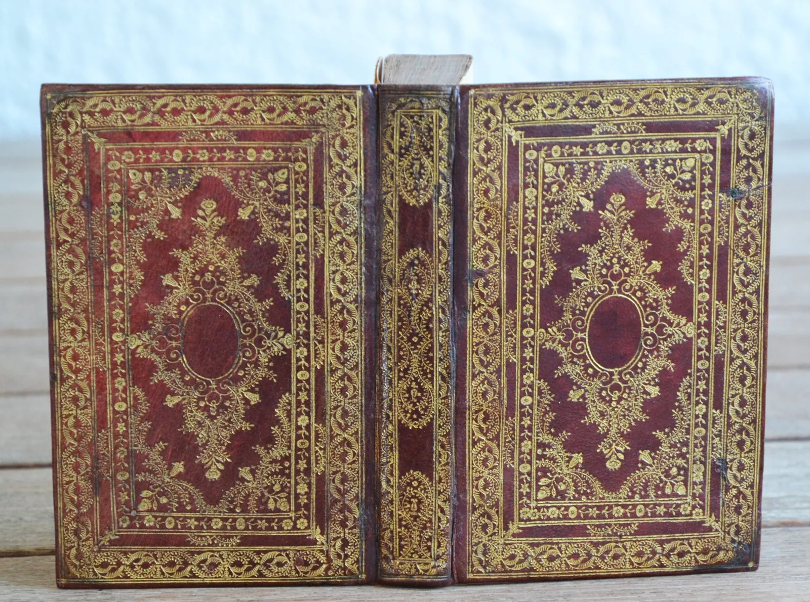 De Rerum Natura – Libri sex. (1/6) — LUCRÈCE (Titus Lucretius Carus), 1595 — XVe et XVIe siecles