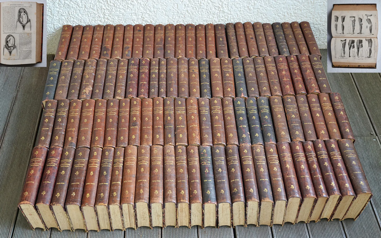 Dictionnaire encyclop (1/12) — DECHAMBRE (Amédée) / RAIGE-DELORME (Jacques) & LEREBOULLET (Léon), 1865 — Medecine