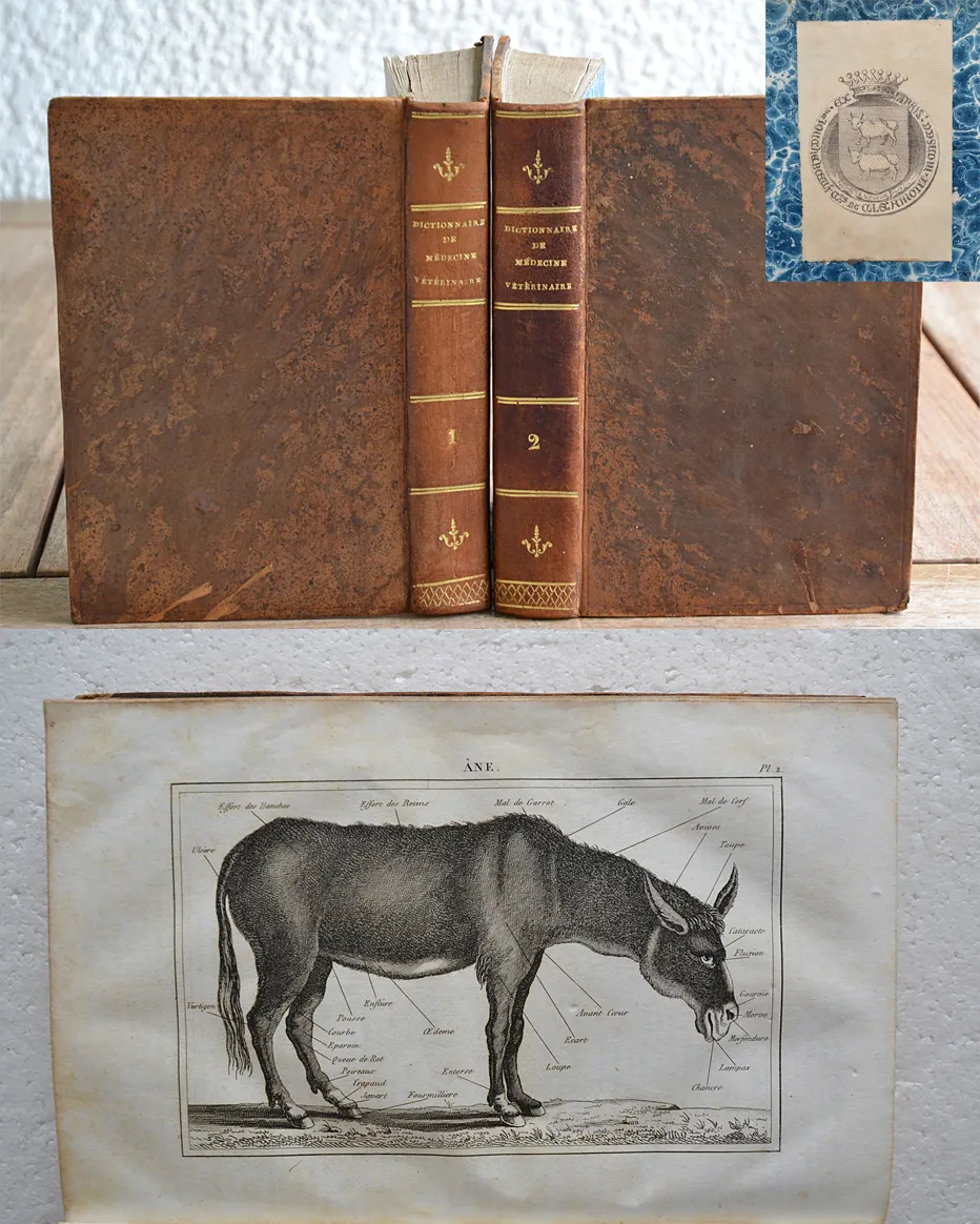 Dictionnaire usuel de chirurgie et de médecine vétérinaires, manuel pratique ou l’on trouve exposés avec clarté et dans un langage à la porté de tout le monde, 1°] Tout ce qui regarde l’histoire naturelle, la propagation, l’entretien et la conservation des animaux domestiques ; 2°] La description de toutes les maladies auxquelles ces animaux sont sujets ; 3°] Les moyens de les traiter de la manière la plus efficace et la plus économique ; 4°] La législation vétérinaire (1/12) — [COLLECTIF], 1835 — Medecine