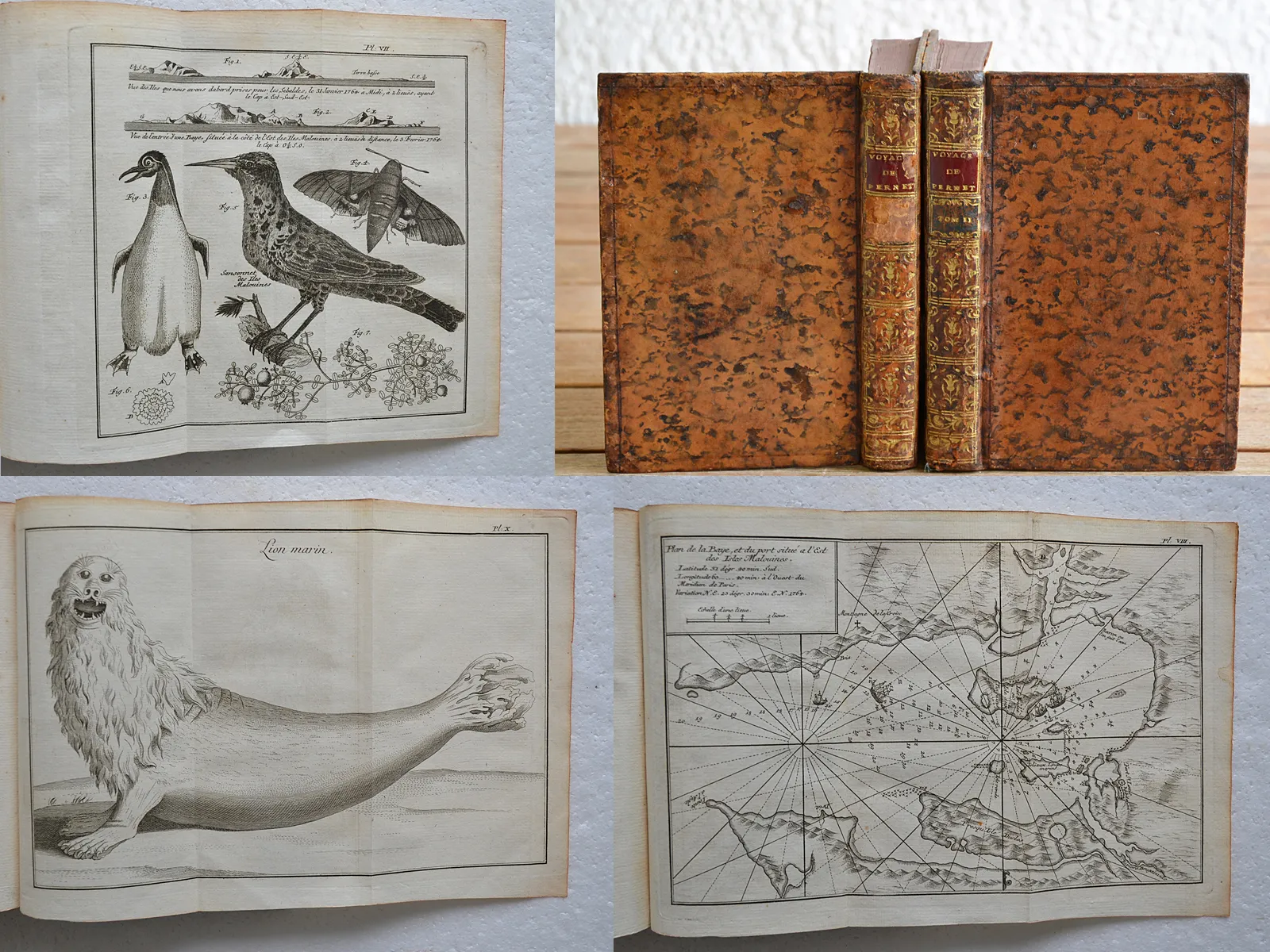 Histoire d’un voyage aux isles Malouines, fait en 1763, & 1764 ; avec des observations sur le détroit de Magellan, et sur les Patagons. (1/12) — PERNETTY (Antoine Joseph), 1763 — Voyages