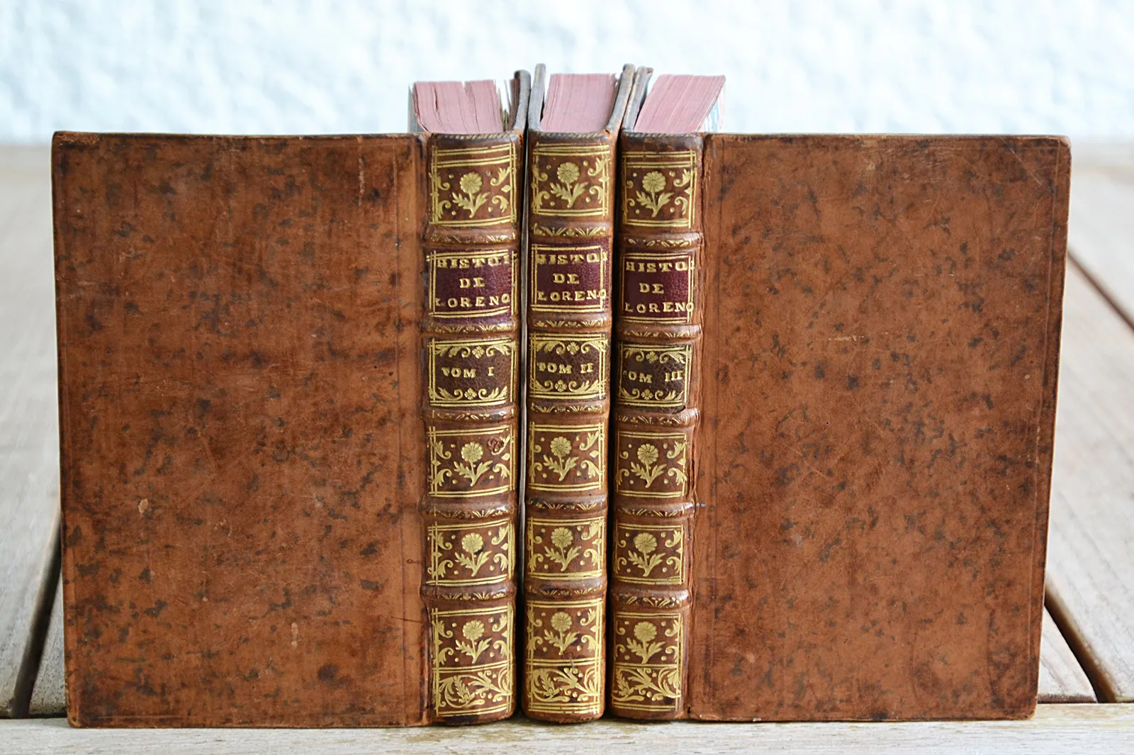 Histoire Naturelle, Civile et Géographique de l’Orénoque. Et des principales Rivières qui s’y jettent. Dans laquelle on traite du Gouvernement, des usages & des coûtumes des Indiens qui l’habitent, des animaux, des arbres, des fruits, des résines, des herbes & des racines médicinales qui naissent dans le Païs. On y a joint le détail de plusieurs Conversions remarquables & édifiantes. Par le Père Joseph Gumilla, de la Compagnie de Jésus, Supérieur des Missions de l’Orénoque. Traduite de l’Espagnol sur la seconde édition, par M. Eidous (1/5) — GUMILLA (Père Joseph), 1758 — Voyages