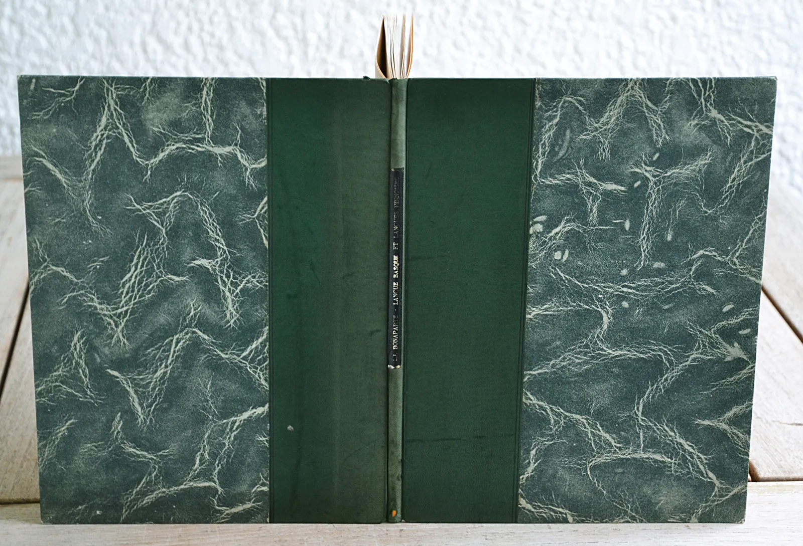 Langue basque et langues finnoises (1/7) — BONAPARTE (Prince Louis-Lucien), 1862 — Livres basques