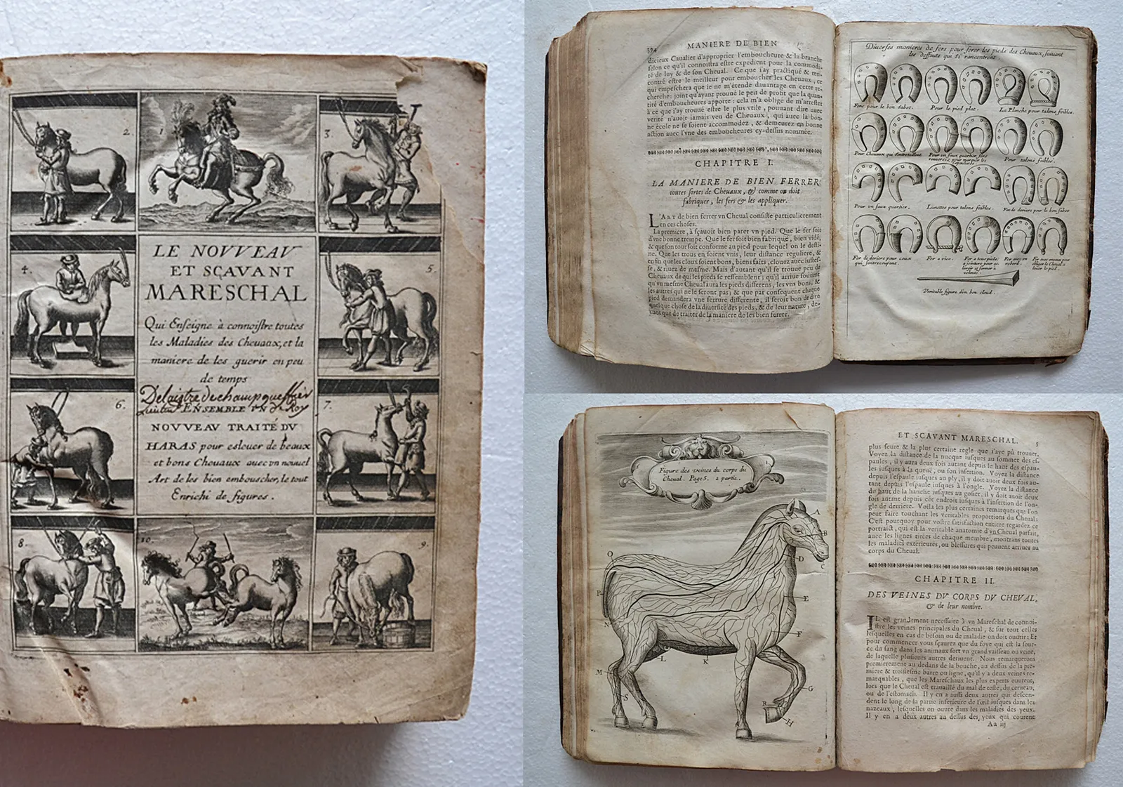 Le nouveau et sçavant mareschal, dans lequel est traité de la composition de la nature, des qualitez, perfections, & défauts des chevaux. Plus les signes de toutes les maladies & blessures qui leur peuvent arriver, avec la méthode de les guérir parfaitement (1/12) — MARKHAM (Gervais), 1666 — Histoire Naturelle