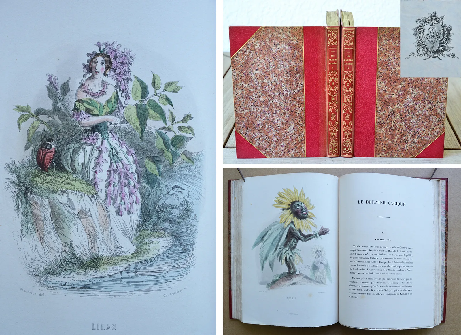 Les fleurs animées (1/14) — GRANVILLE, Jean Ignace Isidore Gérard, dit, 1847 — Illustres modernes