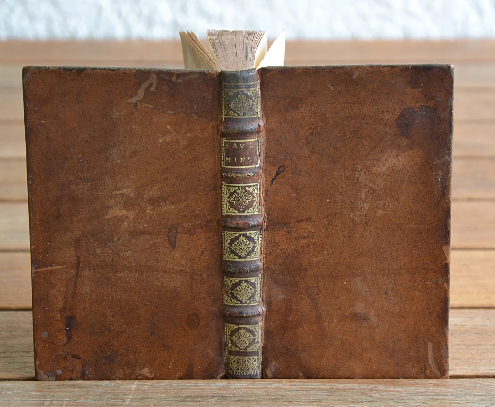 Nouveau système des eaux minérales de forges, où l’on découvre par plusieurs expériences quelle est la nature de ces eaux, & à quelles maladies elles conviennent. (1/12) — LAROUVIÈRE (Jean), 1699 — Medecine