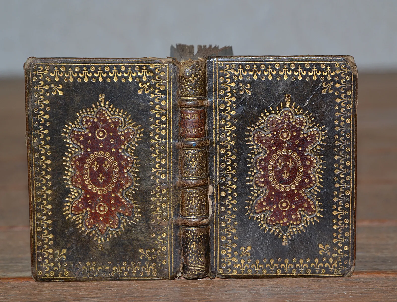 Phaedri fabulae, et Publii Syri sententiae (1/11) — PHÈDRE et PUBLILIUS SYRUS, 1729 — Belles reliures