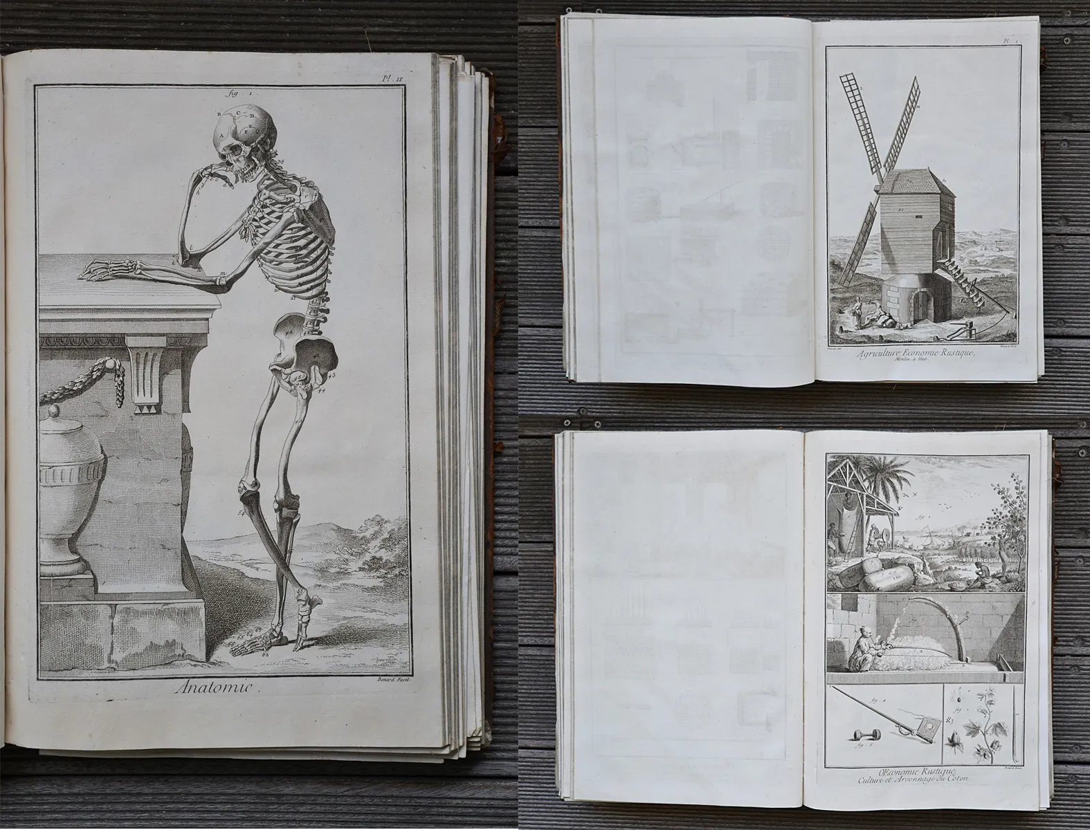 Recueil de planches sur les Sciences, les Arts Libéraux, et les Arts Méchaniques, avec leur explication. (1/12) — Diderot (Denis) & Alembert (Jean Le Rond d'), 1762 — Sciences