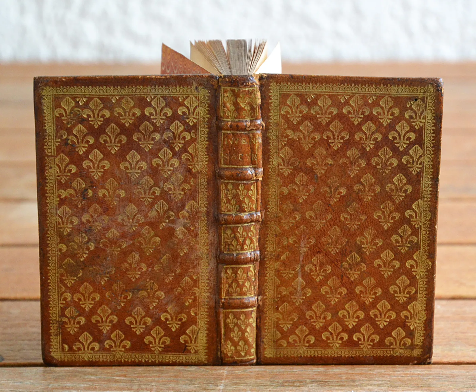 Satyrae, cum annotat. Th. Farnabii (1/6) — JUVÉNAL [Décimus Junius Juvenalis] & PERSE [Aulus Persius Flaccus], 1668 — Poesie