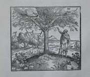 Biblia Sacra des oudé ende nieuwé Testamets ofte de Gantshe heylige shrift (13/13) — [BIBLE] — Religion