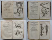 Dictionnaire des sciences médicales, par une société de médecins et de chirurgiens (11/12) — [COLLECTIF], 1812 — Medecine