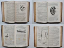 Dictionnaire encyclop (7/12) — DECHAMBRE (Amédée) / RAIGE-DELORME (Jacques) & LEREBOULLET (Léon), 1865 — Medecine