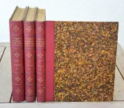 Dictionnaire universel d’histoire naturelle. Renard, Martinet et Cie, Langlois et Leclercq, Masson, 1849. (3/11) — Rarissime atlas d’histoire naturelle sur grand papier ORBIGNY (Charles d'), 1849 — Histoire Naturelle