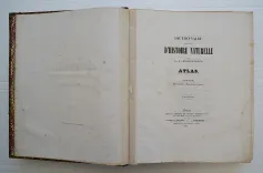 Dictionnaire universel d’histoire naturelle. Renard, Martinet et Cie, Langlois et Leclercq, Masson, 1849. (4/11) — Rarissime atlas d’histoire naturelle sur grand papier ORBIGNY (Charles d'), 1849 — Histoire Naturelle