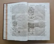 Histoire générale des plantes, contenant XVII livres également départis en deux tomes. (4/12) — DALÉCHAMPS (Jacques), 1653 — Botanique