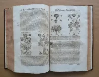 Histoire générale des plantes, contenant XVII livres également départis en deux tomes. (7/12) — DALÉCHAMPS (Jacques), 1653 — Botanique