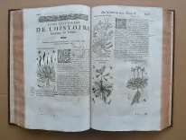 Histoire générale des plantes, contenant XVII livres également départis en deux tomes. (8/12) — DALÉCHAMPS (Jacques), 1653 — Botanique