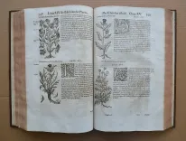Histoire générale des plantes, contenant XVII livres également départis en deux tomes. (9/12) — DALÉCHAMPS (Jacques), 1653 — Botanique