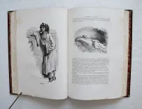 itinérairedu choléra-morbus pestilentiel (5/11) — SUE, Marie-Joseph, dit Eugène (1804-1857), 1845 — Illustres modernes