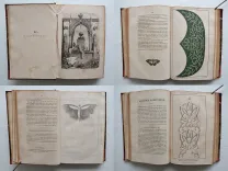 Journal des jeunes personnes. (10/11) — [PYRÉNÉES] - ABRANTÈS (Laure Adélaïde Constance Junot, duchesse d'), 1833 — Regionalisme