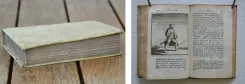 L’éloge de la folie, composé en forme de déclamation par Erasme de Rotterdam. (12/12) — ÉRASME, Didier (pseudonyme de Geert Geertsz, humaniste ; 1466-1536), 1713 — Litterature
