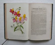 L’horticulteur français de mil huit cent cinquante et un. (10/12) — HÉRINCQ (François), 1820 — Botanique