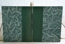 Langue basque et langues finnoises (1/7) — BONAPARTE (Prince Louis-Lucien), 1862 — Livres basques