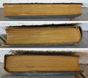 Les enfants du capitaine Grant – Voyage autour du monde. (3/12) — VERNE (Jules), 1871 — Cartonnages