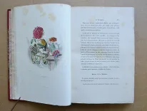 Les fleurs animées (10/14) — GRANVILLE, Jean Ignace Isidore Gérard, dit, 1847 — Illustres modernes