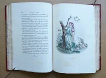 Les fleurs animées (12/14) — GRANVILLE, Jean Ignace Isidore Gérard, dit, 1847 — Illustres modernes