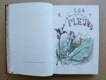 Les fleurs animées (2/14) — GRANVILLE, Jean Ignace Isidore Gérard, dit, 1847 — Illustres modernes