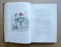Les fleurs animées (3/14) — GRANVILLE, Jean Ignace Isidore Gérard, dit, 1847 — Illustres modernes