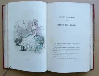 Les fleurs animées (5/14) — GRANVILLE, Jean Ignace Isidore Gérard, dit, 1847 — Illustres modernes