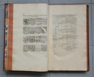 Mémoires de Castelnau sur grand papier (7/9) — CASTELNAU (Michel de) — Histoire