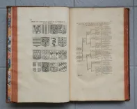 Mémoires de Castelnau sur grand papier (8/9) — CASTELNAU (Michel de) — Histoire