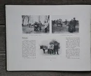 Pau – Béarn – Pyrénées. (4/12) — [COLLECTIF], 1906 — Regionalisme