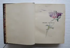 Pierre et Jean. (2/11) — MAUPASSANT (Guy de), 1888 — Illustres modernes