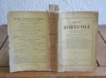 Revue horticole – Journal d’horticulture pratique, fondé en 1829 par les auteurs du Bon Jardinier. (2/12) — Revue horticole – 1889, 1829 — Botanique