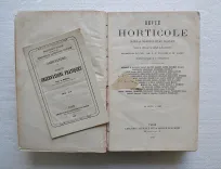 Revue horticole – Journal d’horticulture pratique, fondé en 1829 par les auteurs du Bon Jardinier. (3/12) — Revue horticole – 1886, 1829 — Botanique