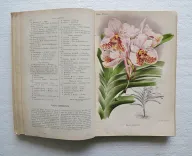 Revue horticole – Journal d’horticulture pratique, fondé en 1829 par les auteurs du Bon Jardinier. (5/12) — Revue horticole – 1885, 1829 — Botanique