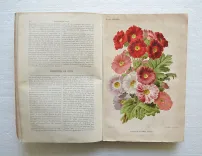 Revue horticole – Journal d’horticulture pratique, fondé en 1829 par les auteurs du Bon Jardinier. (7/12) — Revue horticole – 1886, 1829 — Botanique