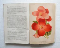 Revue horticole – Journal d’horticulture pratique, fondé en 1829 par les auteurs du Bon Jardinier. (8/11) — Revue horticole – 1883, 1829 — Botanique