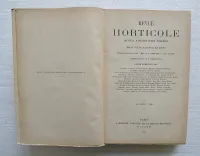 Revue horticole – Journal d’horticulture pratique, fondé en 1829 par les auteurs du Bon Jardinier. (3/12) — Revue horticole – 1890, 1829 — Botanique