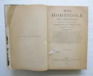 Revue horticole – Journal d’horticulture pratique, fondé en 1829 par les auteurs du Bon Jardinier. (3/12) — Revue horticole – 1893, 1829 — Botanique