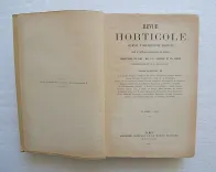 Revue horticole – Journal d’horticulture pratique, fondé en 1829 par les auteurs du Bon Jardinier. (3/12) — Revue horticole – 1895, 1829 — Botanique
