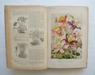 Revue horticole – Journal d’horticulture pratique, fondé en 1829 par les auteurs du Bon Jardinier. (6/12) — Revue horticole – 1896, 1829 — Botanique