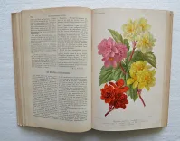Revue horticole – Journal d’horticulture pratique, fondé en 1829 par les auteurs du Bon Jardinier. (8/12) — Revue horticole – 1890, 1829 — Botanique