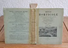 Revue horticole – Journal d’horticulture pratique, fondé en 1829 par les auteurs du Bon Jardinier. (3/12) — Revue horticole – 1901, 1829 — Botanique